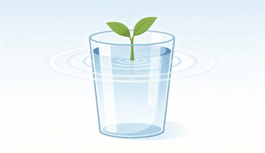 水分補給を自分の体に合わせる｜数字より体感で判断する方法